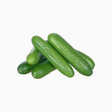 Cucumber