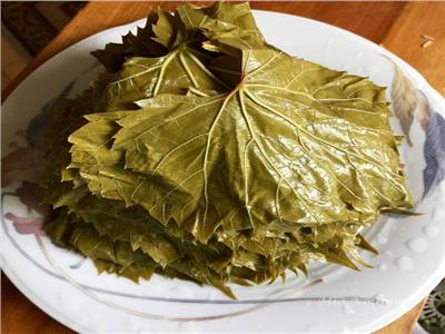 grape leaves