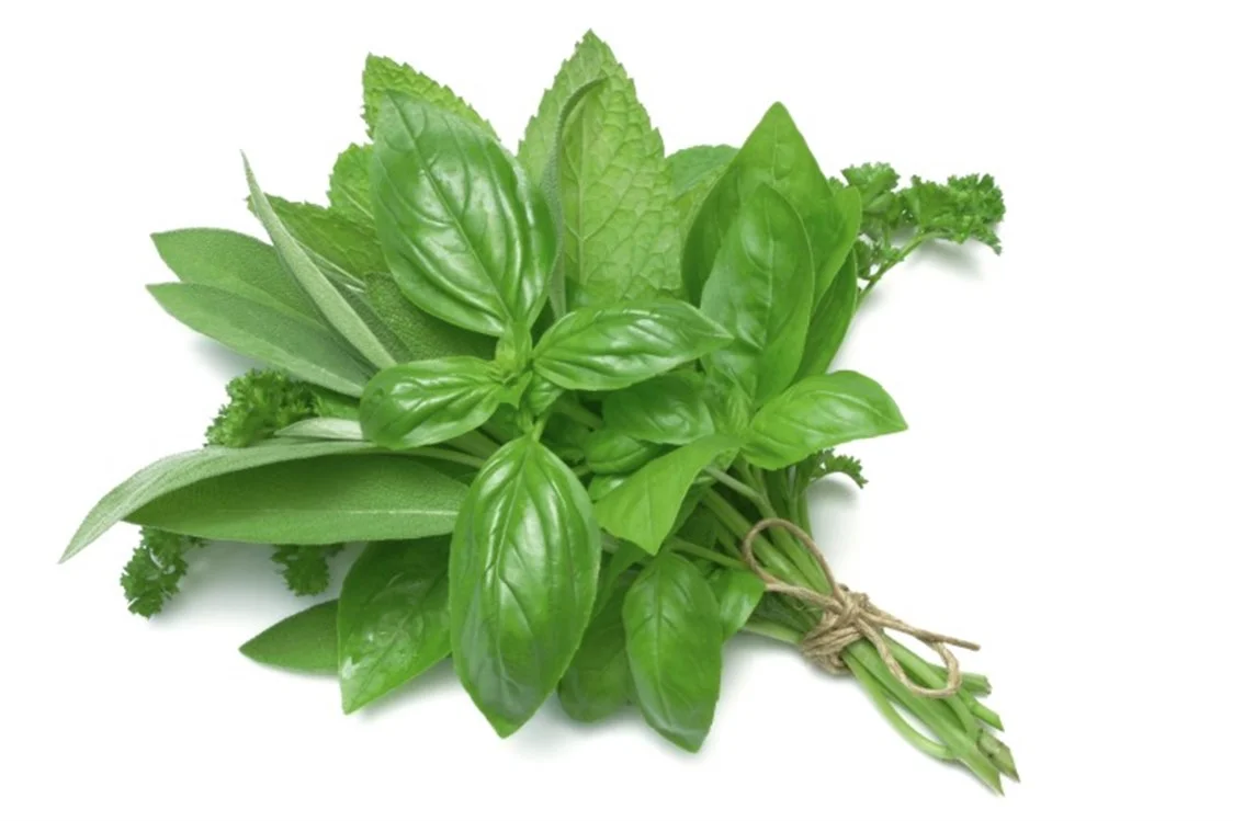 Fresh basil