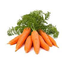 carrot