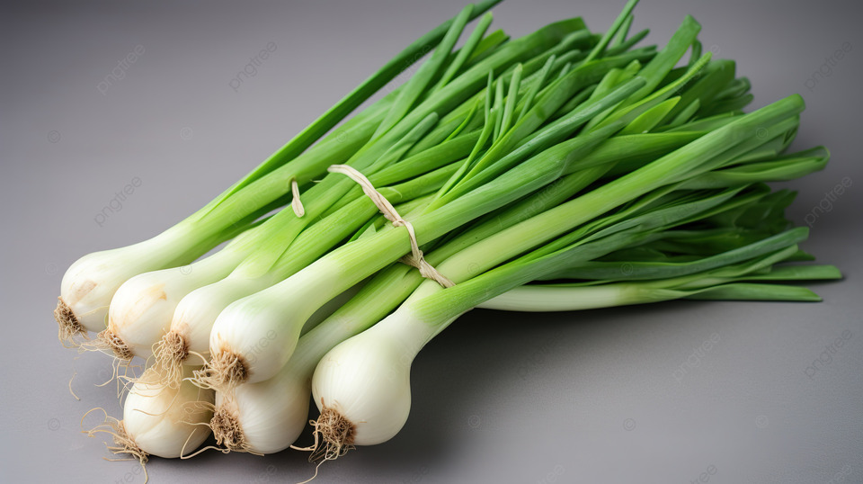 Spring Onion