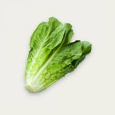 Lettuce