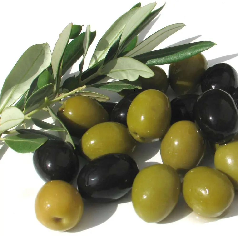 olive